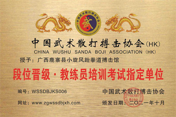 廣西鹿寨縣小旋風跆拳道搏擊館